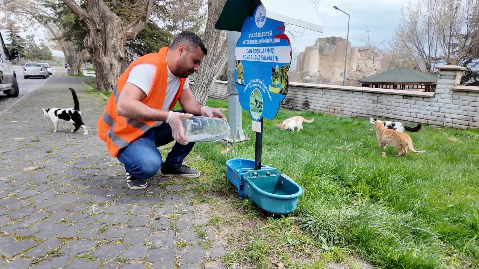 Manşet: ELAZIĞ BELEDİYESİ'NDEN SOKAK HAYVANLARI İÇİN MAMA VE SU DESTEĞİ
