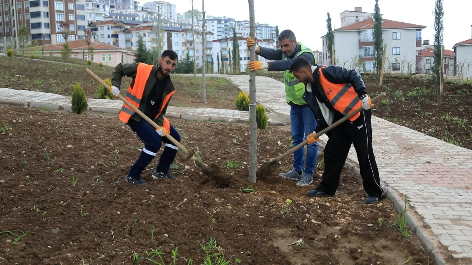 Manşet: ELAZIĞ BELEDİYESİ, DİKİM VE BAKIM ÇALIŞMALARINI SÜRDÜRÜYOR